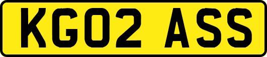 KG02ASS