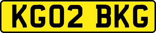 KG02BKG