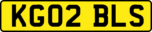 KG02BLS