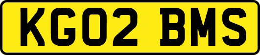 KG02BMS