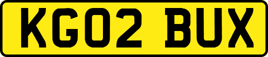 KG02BUX
