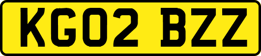KG02BZZ