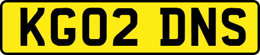 KG02DNS
