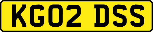 KG02DSS