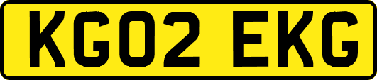KG02EKG