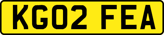 KG02FEA