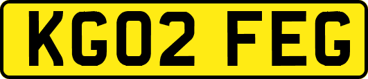 KG02FEG