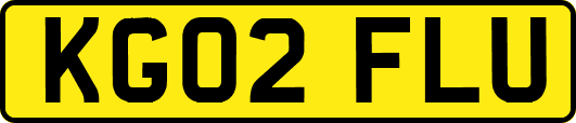 KG02FLU