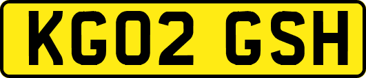 KG02GSH