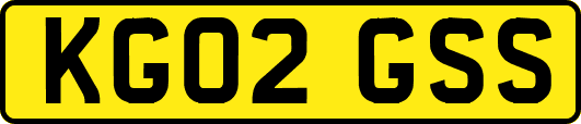 KG02GSS