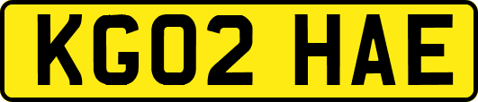 KG02HAE