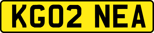 KG02NEA
