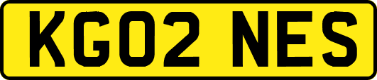 KG02NES