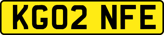 KG02NFE
