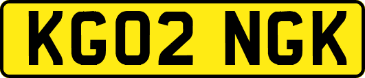 KG02NGK