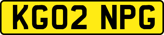 KG02NPG