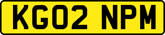 KG02NPM