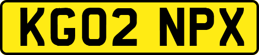 KG02NPX