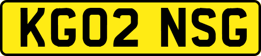 KG02NSG