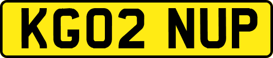 KG02NUP