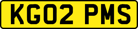 KG02PMS