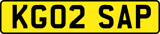 KG02SAP