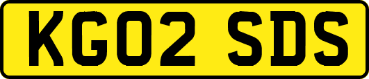 KG02SDS