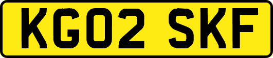 KG02SKF