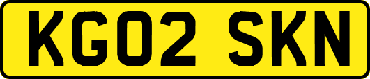 KG02SKN