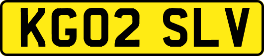 KG02SLV