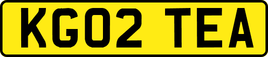 KG02TEA