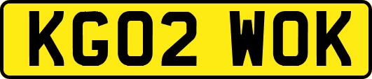 KG02WOK