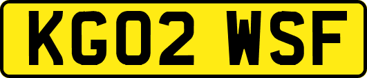 KG02WSF