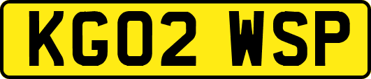 KG02WSP