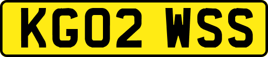 KG02WSS