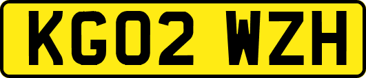 KG02WZH