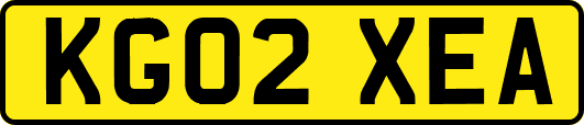 KG02XEA