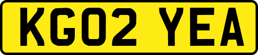 KG02YEA