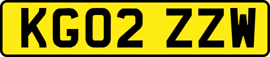 KG02ZZW