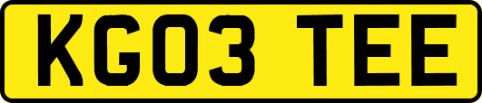 KG03TEE