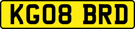 KG08BRD