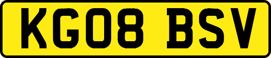 KG08BSV