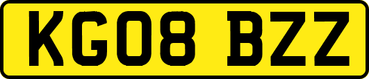 KG08BZZ