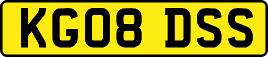 KG08DSS
