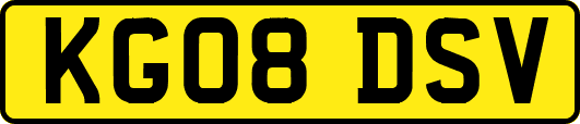 KG08DSV