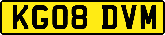 KG08DVM