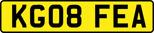 KG08FEA