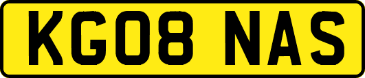 KG08NAS