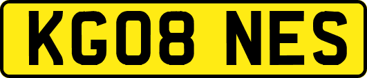 KG08NES