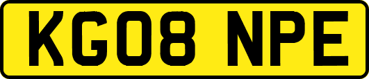 KG08NPE